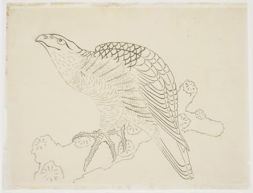 Impresión de alta calidad Falco su un ramo Hokusai lienzo 60x90