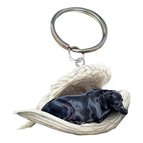pulunto Cute Sleeping Angel Dog Pendant, Acrylic Dog Sleeping in Angel Model Hanging Keychain Pendant for Home Stationery Decor Auto Interior Cover