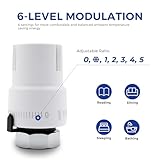 VANCOCO B0DY7HXZJB lato 4