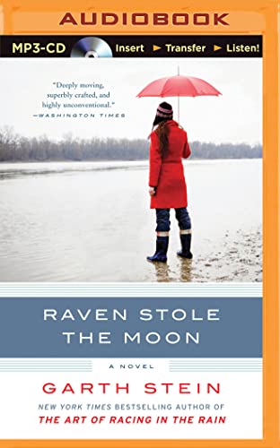 Raven Stole the Moon 1501278746 Book Cover