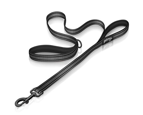 Reflective Nylon Dog Leash with Padded Double Handle, Heavy Duty Neoprene Handle for Control Training, 4 Feet Long - Large (1
