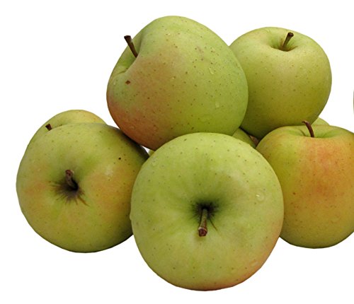 Kauffman Orchards Fresh Golden Delicious Apples, Hand-Picked, Non-Waxed, Grown in