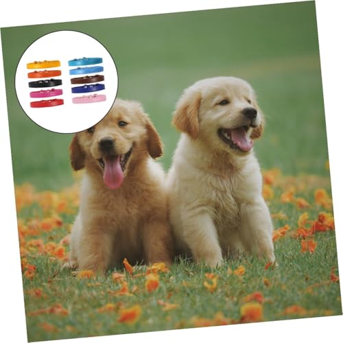 Set de 10 Collares Decorativos para Mascotas miniatura 5