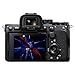 sony-a7s-iii-sony-fe-24-70mm-f-2-8-gm-ii 5
