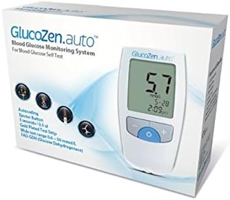 Blood Glucose Monitoring System