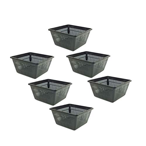 Pisces Pond Square Plant Basket 23 x 23 x 13cm - 6 Pack of Pond Planting Pot
