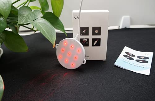 Red Light Cold Laser Therapy Semiconductor LLLT Pain Relief Device for Animals