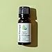 Plant Therapy Organic Lemon Eucalyptus Essential Oil 10 mL (1/3 oz) 100% Pure, USDA Certified Organic, Undiluted, Natural Aromatherapy, Fresh Scent for Deodorizing