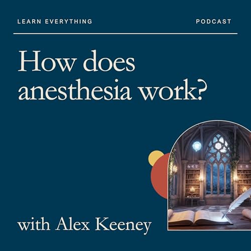 How does anesthesia work?