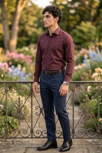 Image of Louis Philippe Men's Slim Fit Easy to Iron Everyday wear Premium Cotton Full Sleeve Solid Formal Shirt