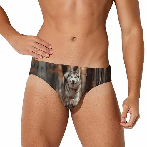 Lsjuee Bañador para Hombre con diseño de Perro Husky, de Secado rápido, Ideal para Playa
