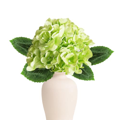 seimeinoki z O[ AWTC  ͂Ȃ CeA ̓v[g 45cm VNt[ tFCNt[ { A[gt[ CeA ʐ^ 