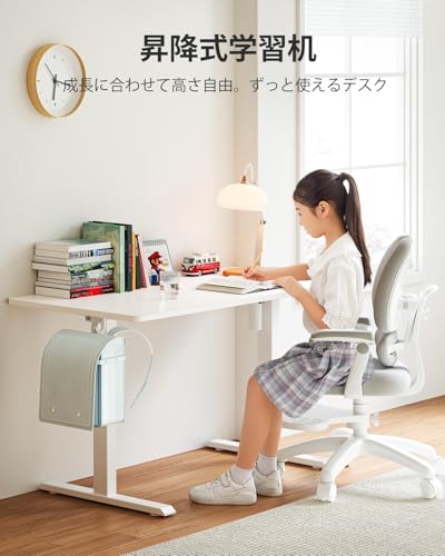 FEZIBO 昇降式スタンディングデスク 幅120cm