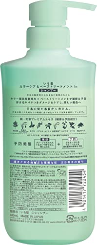Ichikami Color Care & Base Treatment in Shampoo Pump, 16.2 fl oz (480 ml), Fade Resistant, Damage Care, Non-Silicone - Image 2