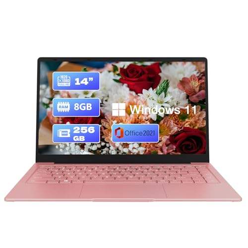 Amazon.co.jp: BENXIAOHAI ノートパソコン Pentium N5030/8GB/256GB