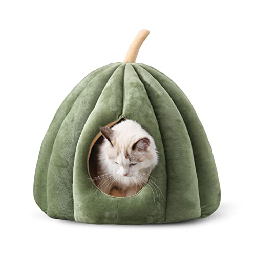 PETCUTE Cuccia per Gatti con Cuscino Interno Rimovibile e Lavabile,Caldo Cuccia Gatto Interno,Lavabile Cuccia per Animali Domestici con Fondo Antiscivolo,Lettino Igloo Per Gatti In Peluche