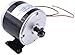 LSSOCH 24V 350W 2750RPM Electric DC Brush Motor MY1016 MY1016Z3 Compatible with Razor ATV Quad Scooter E300 MX350 MX400 ST13