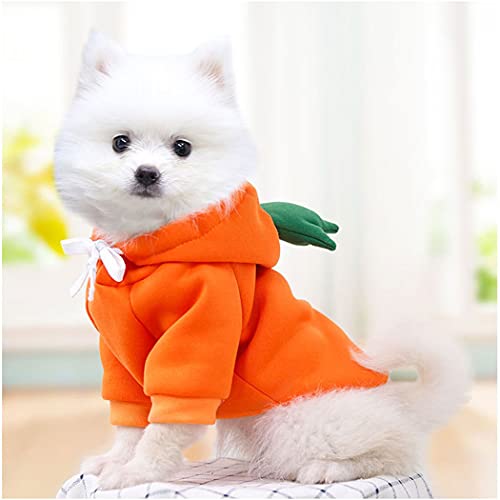 XIAOYU Puppy Dog Hoodie Cats Hoodies Pet Clothes Stylish Fruit Sweatershirt for Dog Cat Small Medium Pets Carrot, M - Image 4