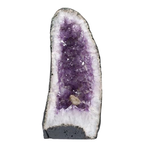 yVR΁z12.7Kg AWXg h[ uWY 174-2155