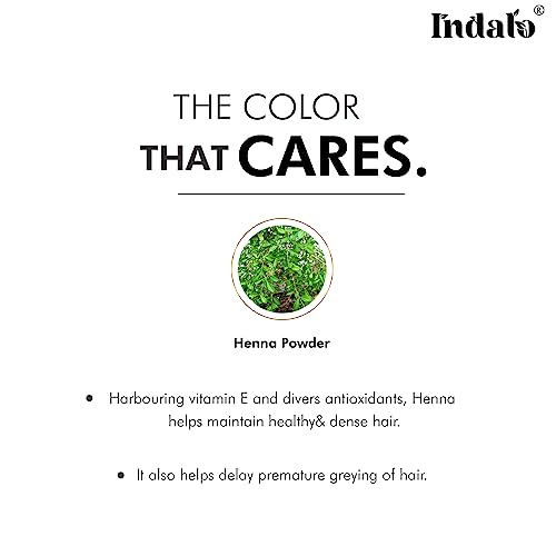 Image of Indalo Natural Henna (Lawsonia Inermis) Hair Colour Powder, No Ammonia No PPD No Paraben, Conditioning Hair Growth & Anti- Dandruff for Men & Women - 100gm Each (Pack of 3)