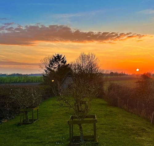 McGST Podcast Episode 91 (living in bubbles, taking in refugees, Apple, dogs and YouTube)