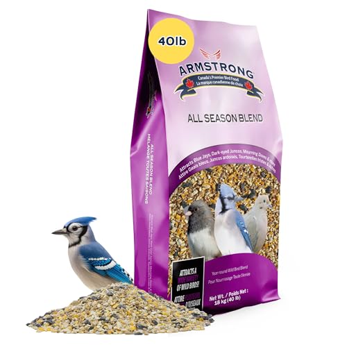 Armstrong Wild Bird Food All Season Bird Seed Blend, 40 Pounds - with Cut Corn, Wheat, White & Red Millet, Black Oil Sunflower Seeds for Blue Jays, Dark-Eyed Juncos and Mourning Doves