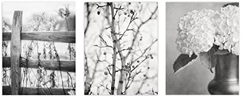 Lisa Russo Fine Art - Black and White Wall Art Set of 3 Prints, Unframed, Black and White Pictures for Country Minimalist Nature Wall Decor, Rustic Black and White Photographs (5x7" Prints)