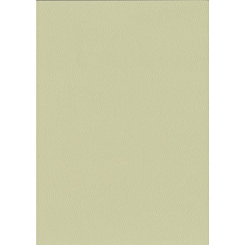 エスケント 色画用紙 スターウェーブ A4 ウィロー 100枚 5007810