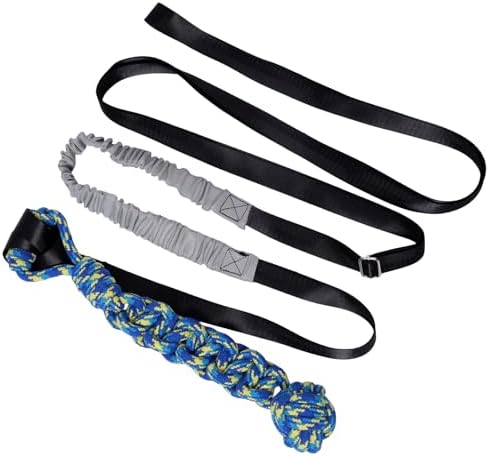 Interactive Dog Bungee Tug Toy Outdoor Hanging Tree Dog Rope Toy ...
