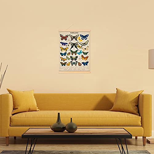 Vintage Papillons Butterflies Poster Butterflies Wall Art Prints Rustic Style Of Butterflies Wall Hanging For Living Room Office Classroom Bedroom Playroom Dining Room Decor Frame 15.7 X 19.7 Inch #TOP3