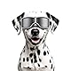 Enjoying Hunde Sonnenbrille Schutzbrille für Mittelgroße Hunderassen UV-Schutz, Motorrad Augenschutz für Hunde, Winddicht, Staubdicht, Schneefest, Weicher Rahmen, Elastische Bänder, Schwarz