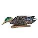 Avian Topflight Mallard Duck, 6 Pack, with Topflight Early Season Teal, 6 Pack, Realistic True to Life Outdoor Hunting Decoy Sets