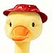 Imagen de Pato De Juguete Que Habla