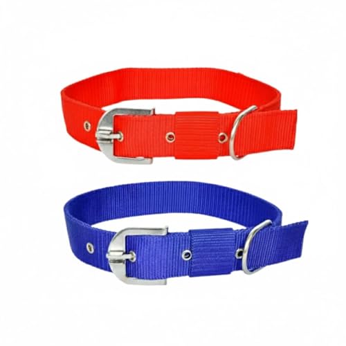 Image of Comfort Fit & Durable Nylon Dog Collar Combo Set - Safe & Adjustable Pet Collars-(Pack of 2) (Red & Blue)