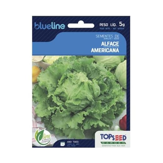 Sementes de Alface Americana, 5g