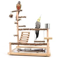 Support Plateforme Perchoir Oiseaux - Planche Bois Avec Bord Dentelé Pour Perroquet, Perruche Et Nymphe