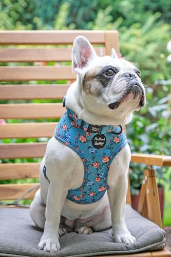Rosie Rose Dog Collar XS, Blue, extra small - Image 3