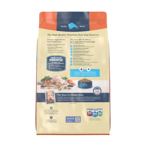 Blue Buffalo Life Protection Formula Chicken Large Adult Dog Food, 15 lb - image 2