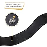 HEELE Hundehalsband, Hundehalsband aus Nylon, Reflektierend Halsband Hund mit Weich Neopren Gepolstert für Welpen Kleine Mittel Große Hunde Läng Einstellbereich 40-66 cm, Grün, L