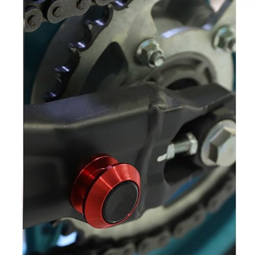 Evita rayar el basculante de BMW M1000R usando carretes para caballete trasero 8mm 5