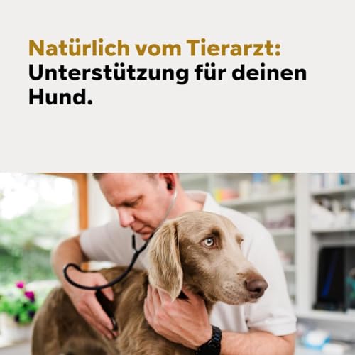 HGM Hund Magenschutz - frisst Gras dann manchmal schaumiger weisslicher Schleim - Sodbrennen wegen Magensäure, natürlicher Säureblocker, Nicht Ulmenrinde oder Heilerde - HGMflex Magen, 2 x 60 g