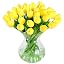 Yellow-20