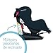 Bébé Confort ISÉOS ISOFIX 'Total Black' - Silla para el coche para...