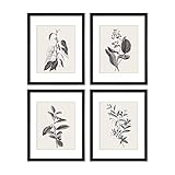 ArtbyHannah 4 Pack 11x14 Inch Black Framed Botanical Wall Art Set with Plant Leaf Prints for Gallery...
