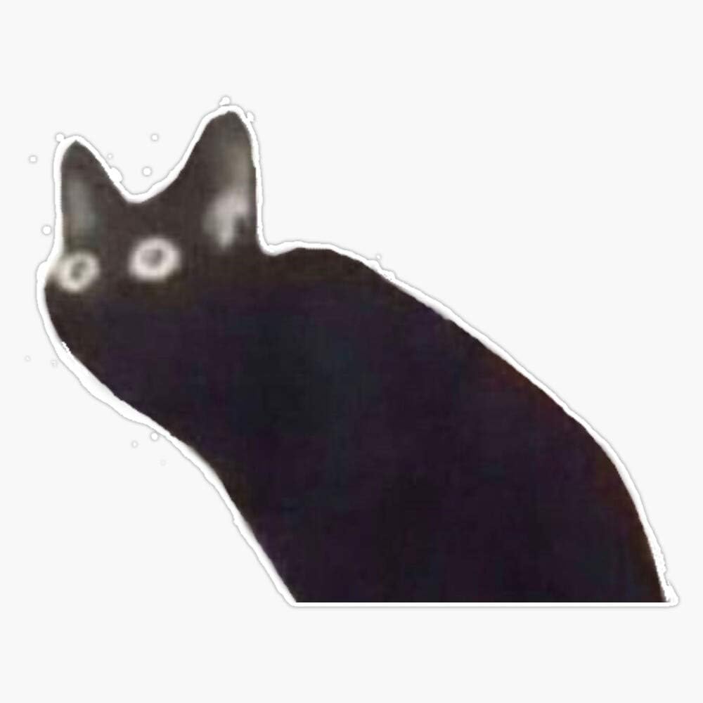 Amazon White Cat Screaming Meme Sticker Vinyl Bumper Sticker Decal