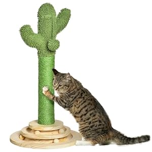 PawHut Poste Rascador para Gatos en Forma de Cactus Pequeño Árbol Rascador para Gatos con Poste de Sisal y Felpa Pelota Colgante y Base con Juego de Madera 32x32x60 cm Verde