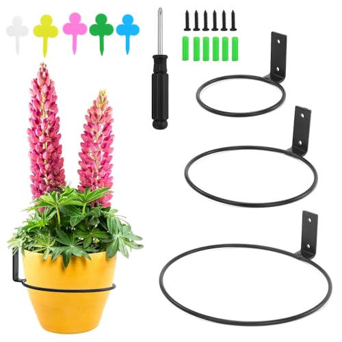 AMANDELIZABE 3 vasi da fiori da parete per piante, supporto da parete in metallo, colore nero, rotondo, da appendere alla parete, per casa, giardino, balcone
