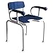 DICOINA Badezimmerhocker/Slip-Badestuhl für ältere Menschen/Spezieller Duschstuhl/Toilettenhocker/Badstuhl für ältere Menschen