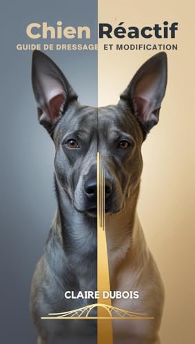 livre Chien Réactif: Guide de Dressage et Modification