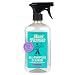 Aunt Fannie's All Purpose Cleaning Vinegar 16.9 oz; Multipurpose Surface Spray Cleaner (Lavender)